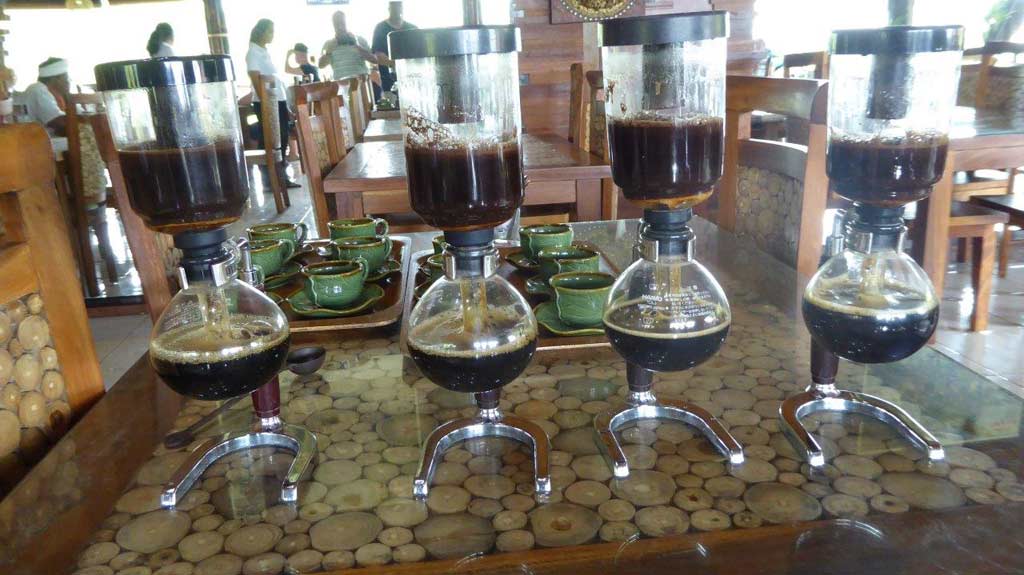 „Siphon” i Kopi Luwak