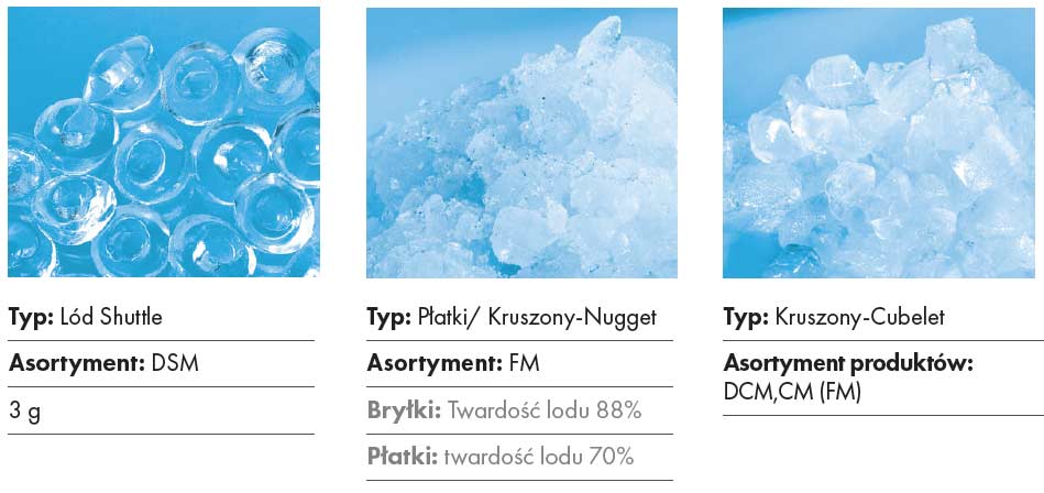 Kostki lodu z kostkarek Hoshizaki